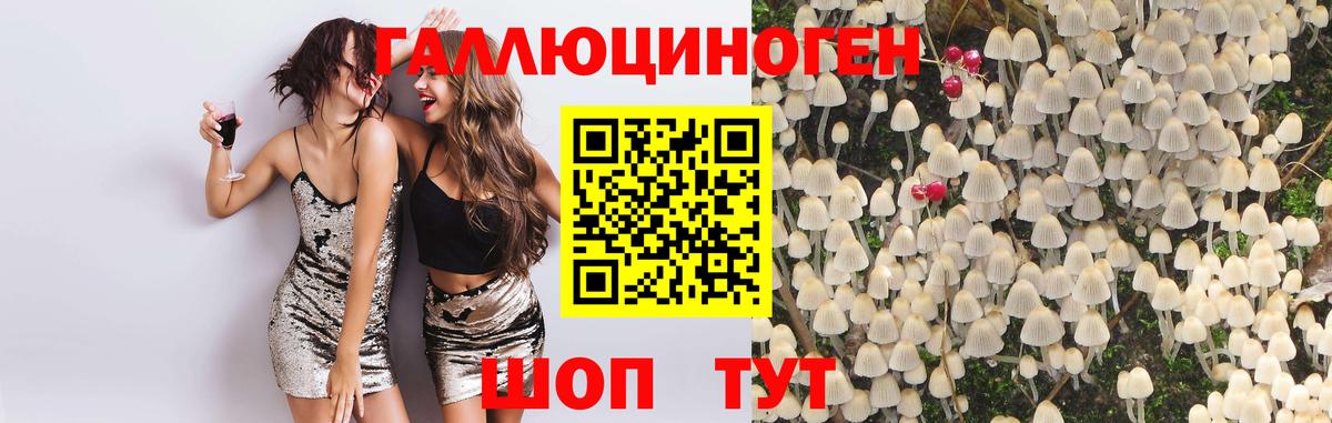 Можайск  Псилоцибиновые грибы Psilocybine cubensis  Вход с VPN  Галлюциногенные грибы ЛСД 